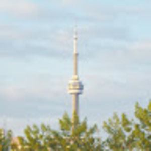 Meet your Posher, Josie